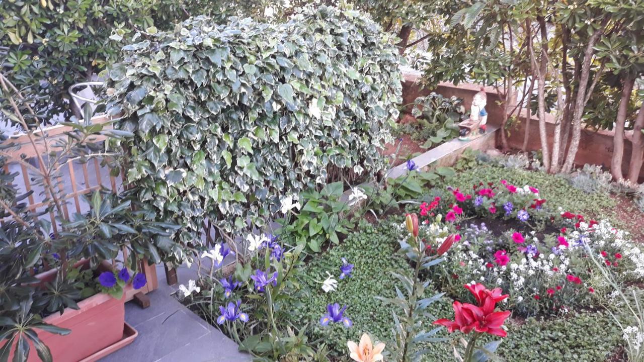 Suljic Apartma